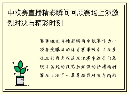 中欧赛直播精彩瞬间回顾赛场上演激烈对决与精彩时刻